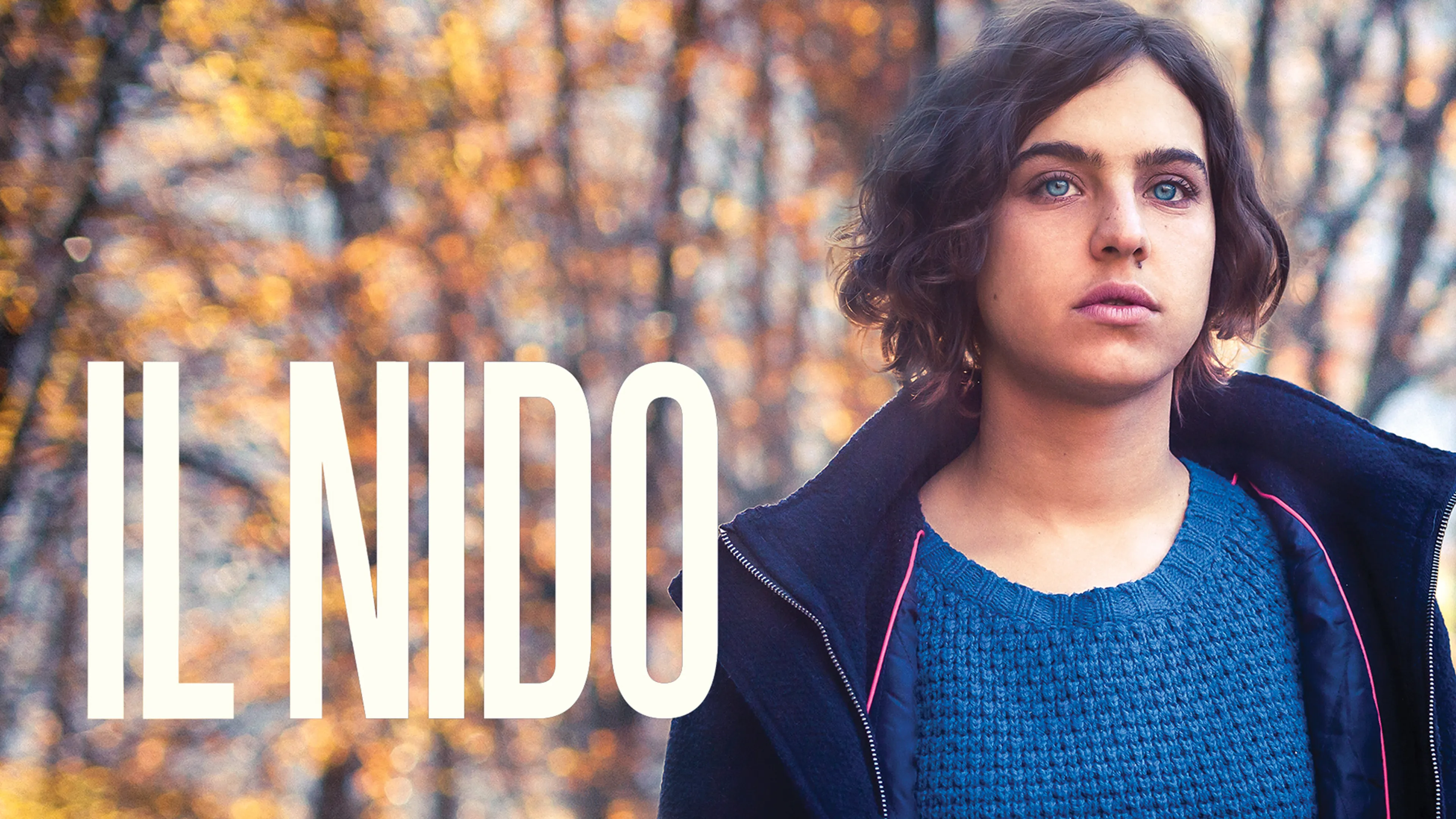 Il Nido poster